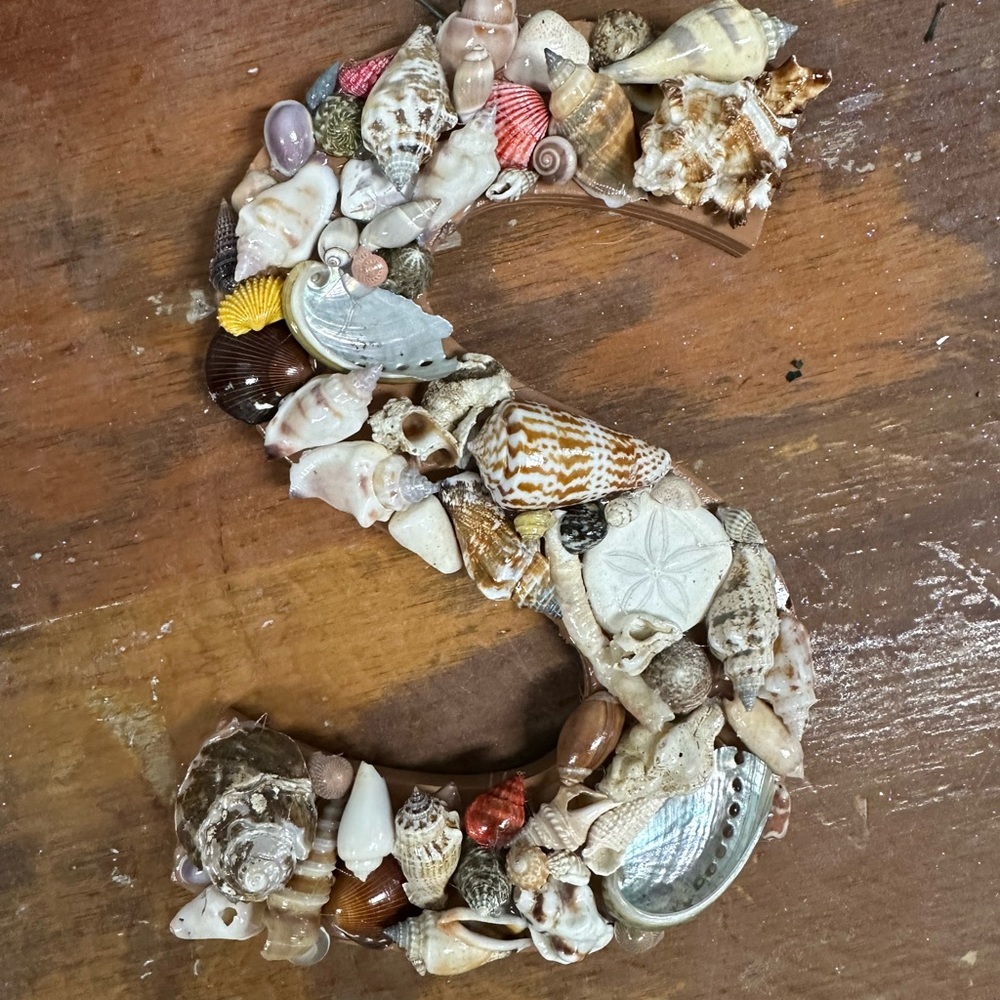 S with shells - Picture 2 of 2